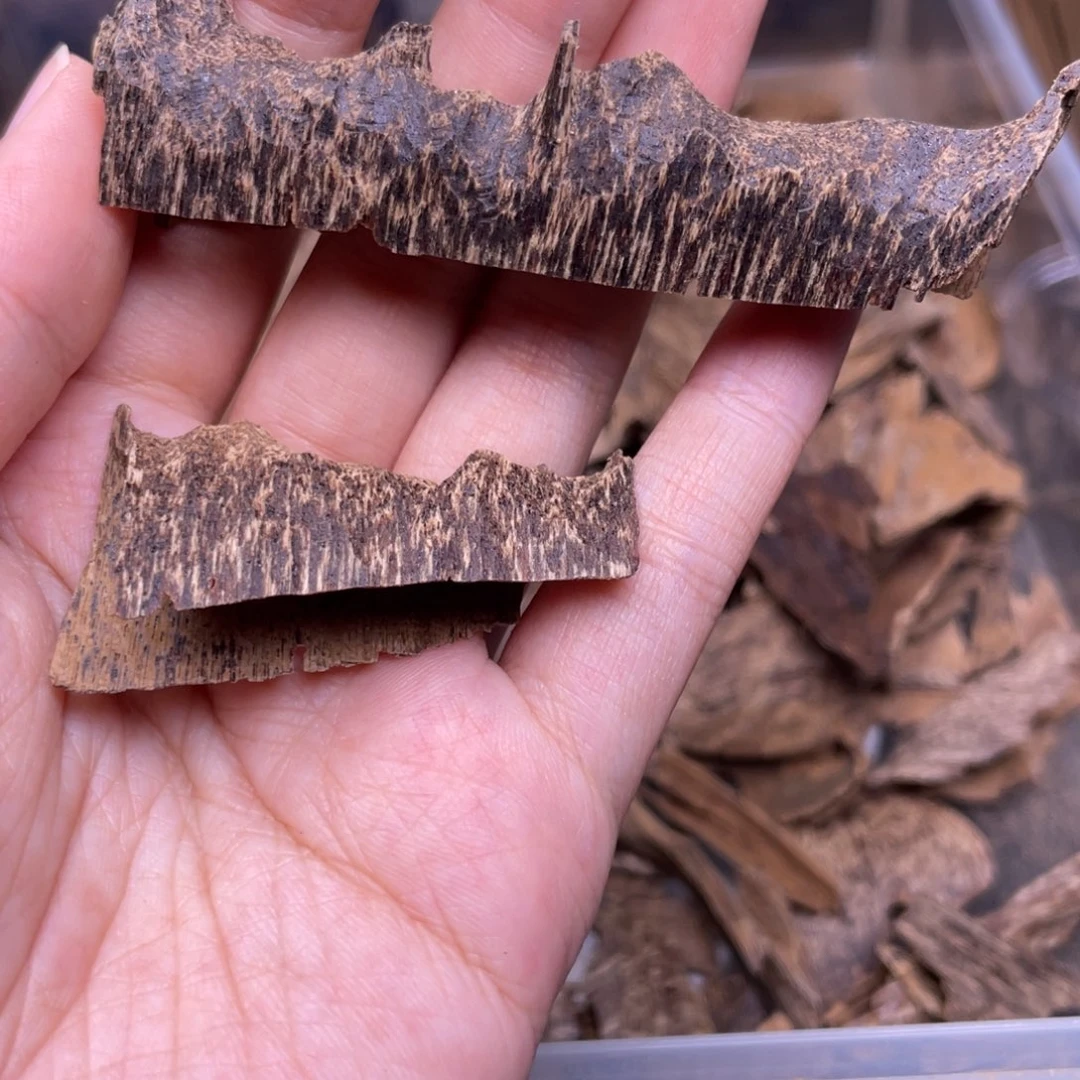 3.9克海南尖峰沉水鸡母虫漏