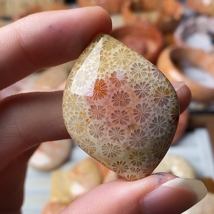 *****硅化珊瑚未镶嵌颈饰