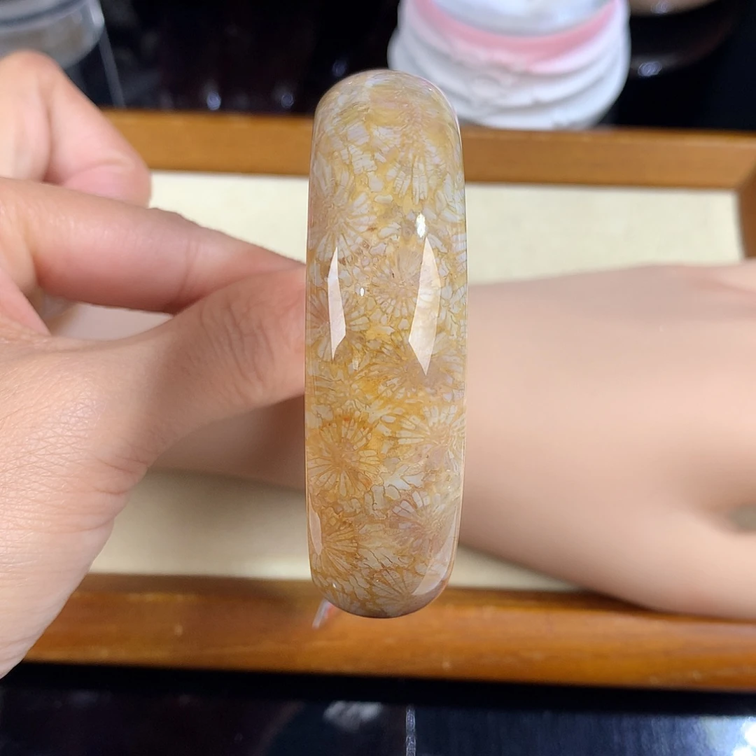 吊坠(赠链)未镶嵌硅化珊瑚（珊瑚玉）27号59圈口