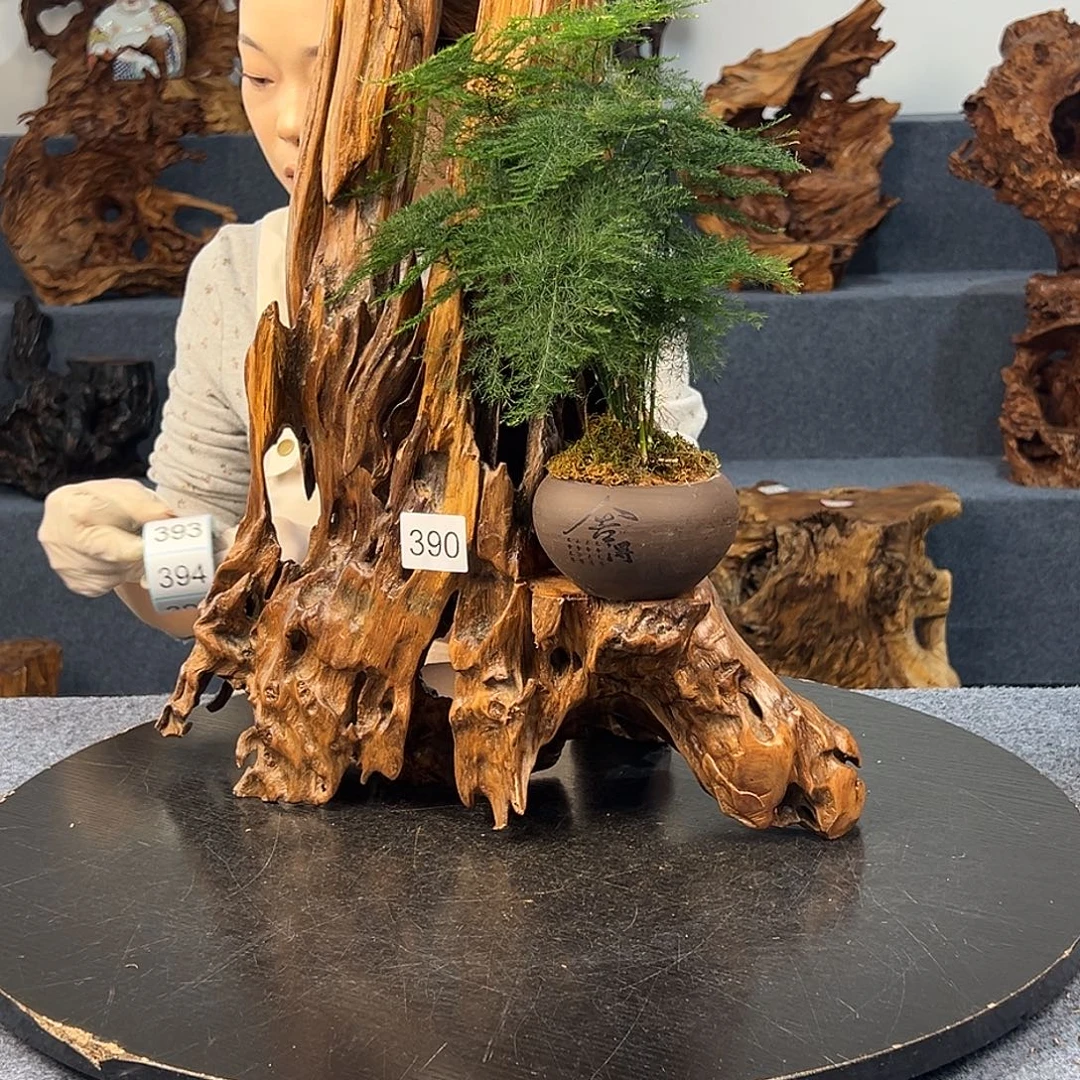 安***李木木头款390wwwwww