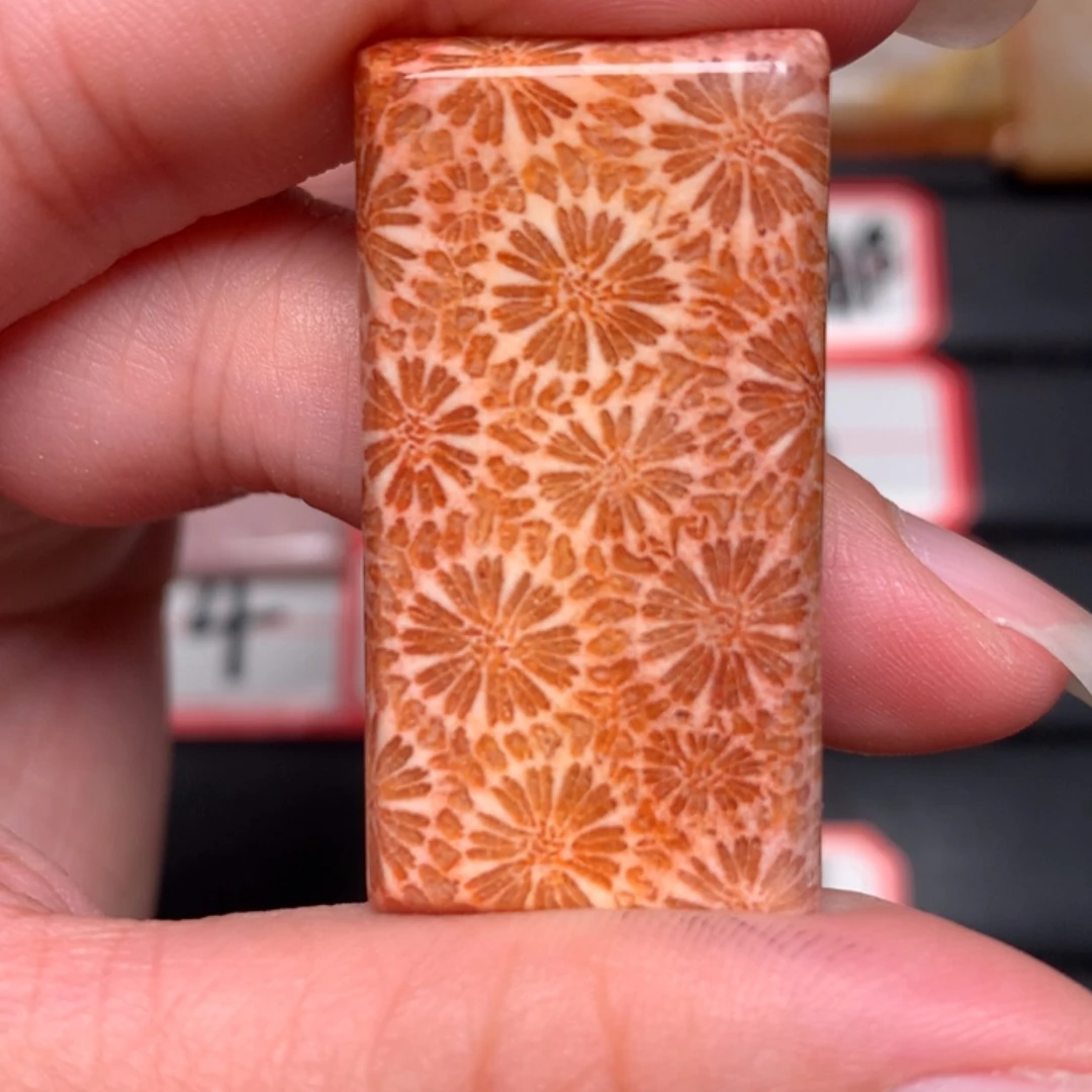 【闪购商品】硅化玉颈饰未镶嵌小*