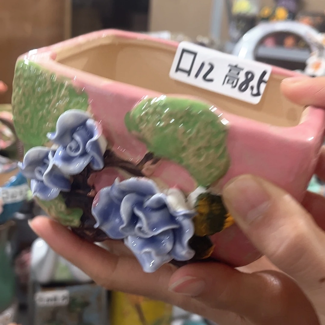 【闪购商品】红陶福利