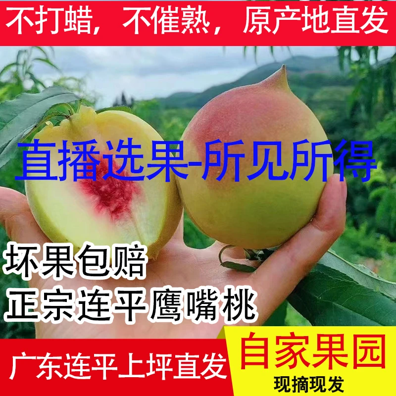 正宗(带箱5斤大果/果王礼盒装)现摘河源连平上坪鹰嘴桃清甜脆直发