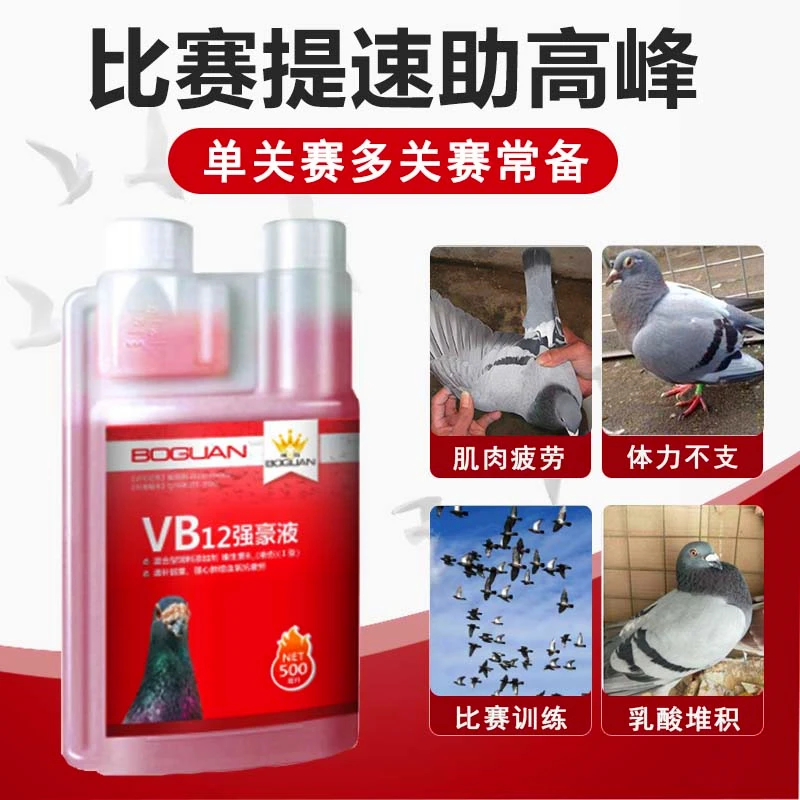 搏冠VB12强豪液500ml 赛鸽比赛提速赛后促恢复单关赛多关赛用品