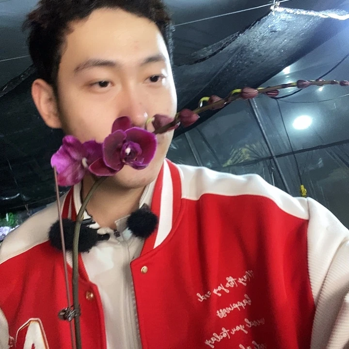 无花朵双星光芒福利