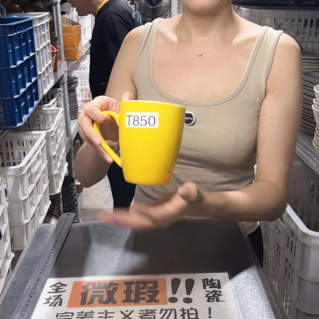 瓷片850           4个
