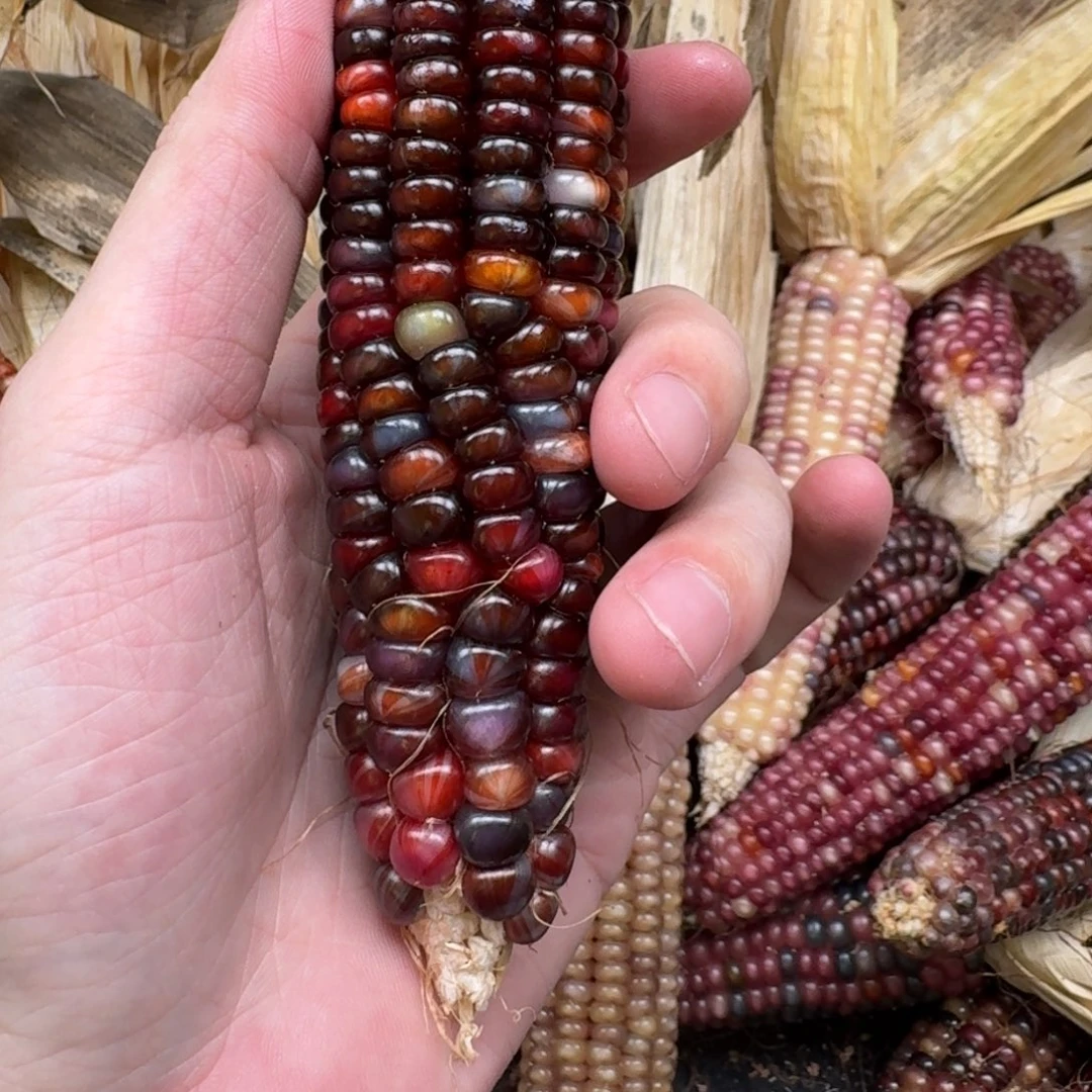 柏香籽/百香籽吊坠М****?