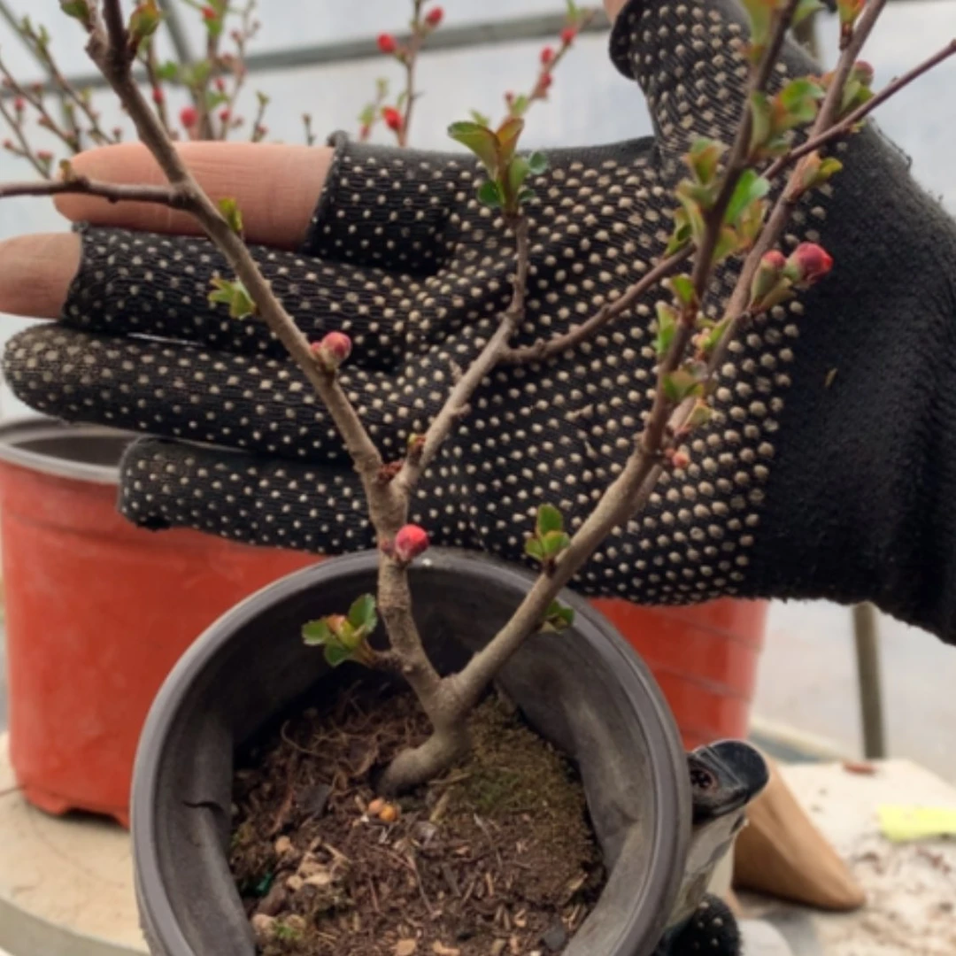 【闪购商品】心**水随单