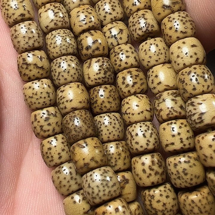 我们都是在这里看到的哈