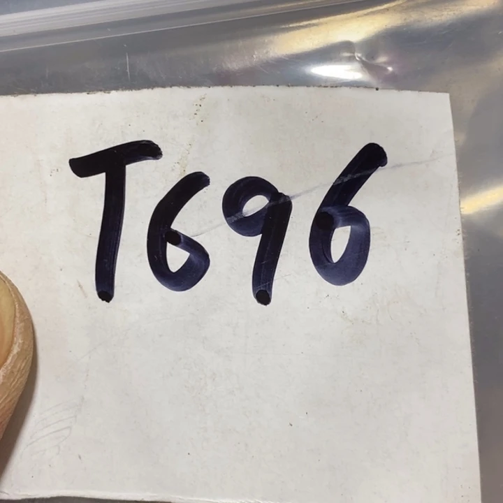 神***趣金属二三九直播间专属链接