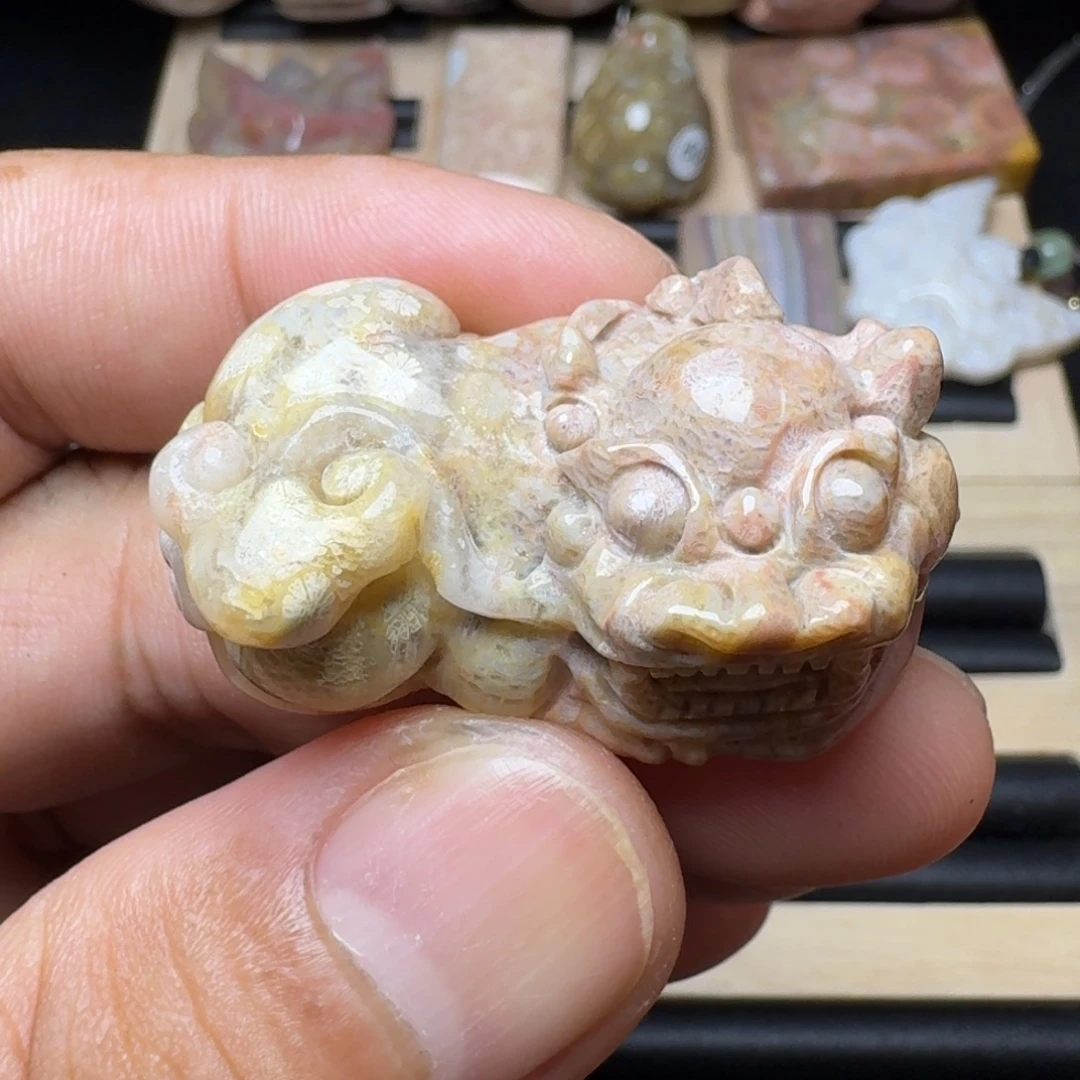 未镶嵌纯天然色有机玉石保真色硅化玉