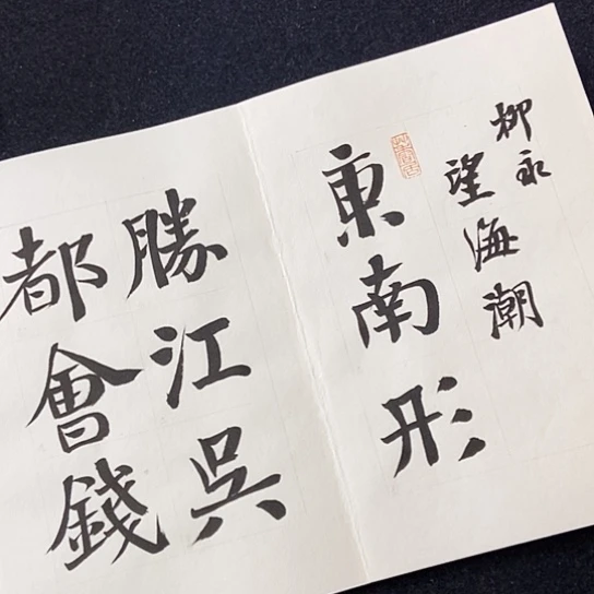 书法张建东老师书法作品