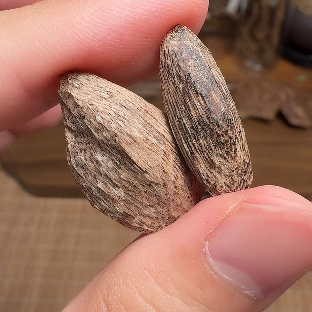 沉香香港大屿山棋韵瓜子