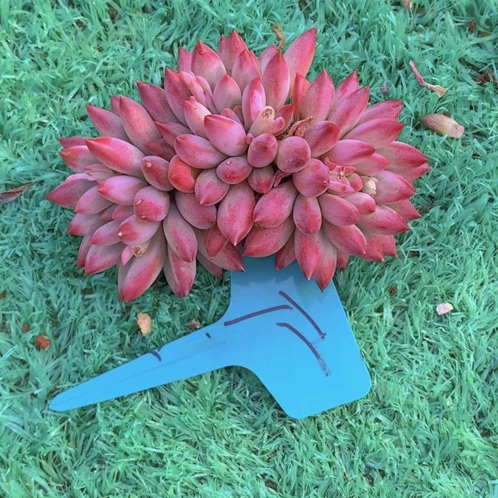 这么久不回来也没什么