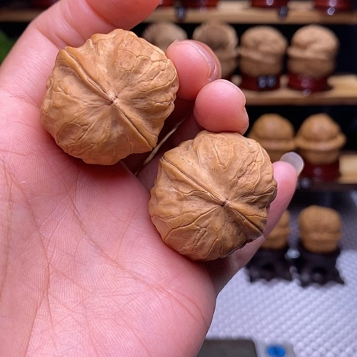 文玩核桃吊坠甲壳虫62