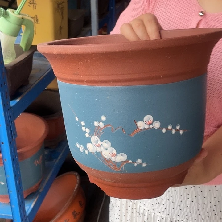 27蓝色点菜金钟花盆紫砂花盆