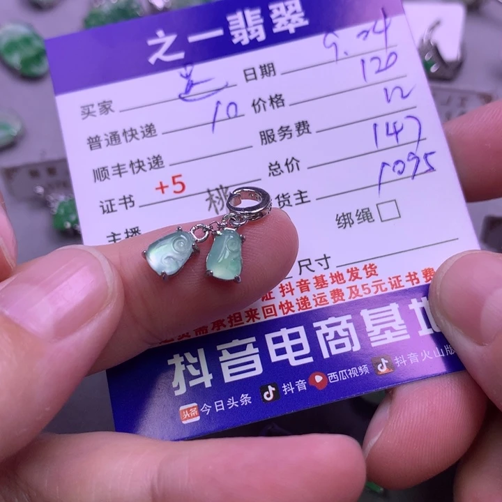 颈饰银S925镶嵌翡翠是**吖