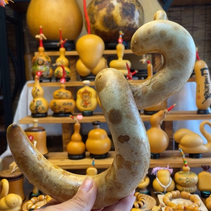 风***浅天然葫芦自然生长