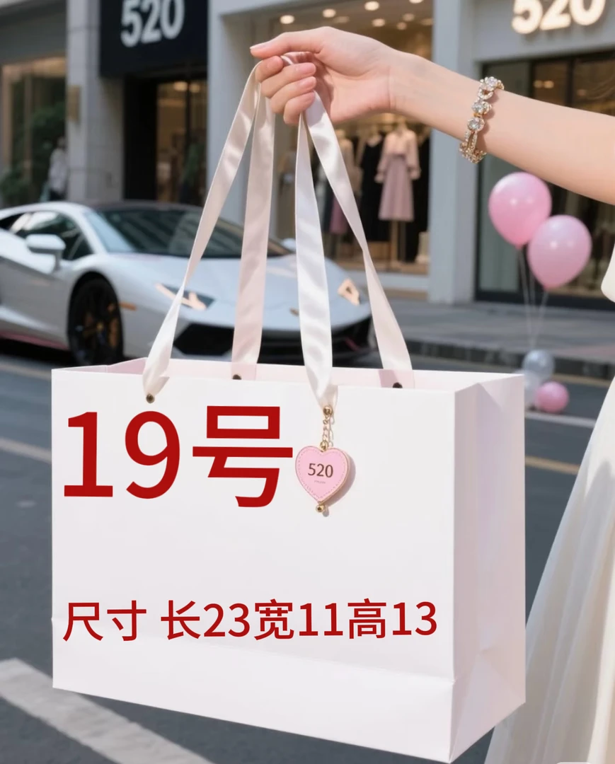 19号波士顿枕头包时尚A2771-17
