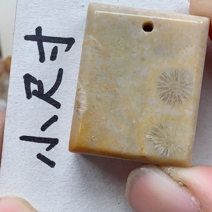 颈饰未镶嵌硅化珊瑚（珊瑚玉）