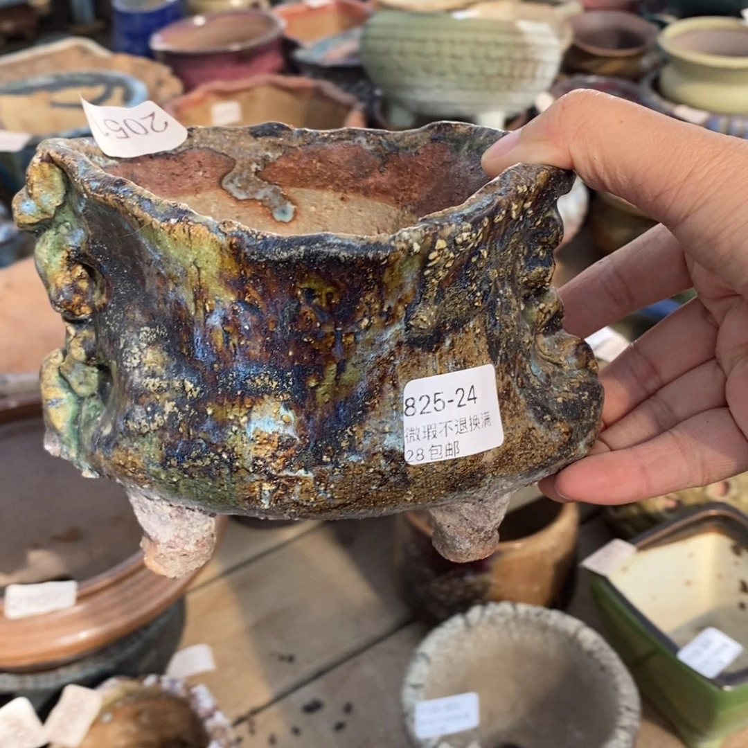 退****24号多肉盆口径12