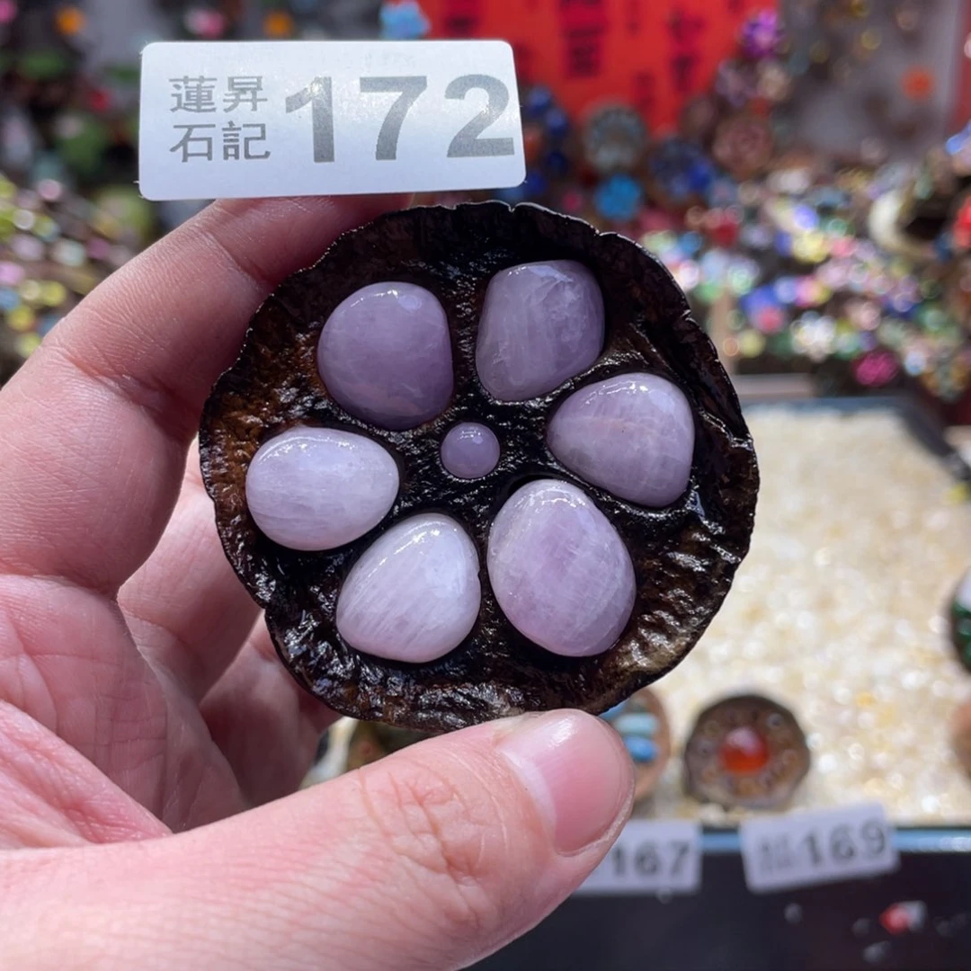 核桃木/黑胡桃（胡桃木）172