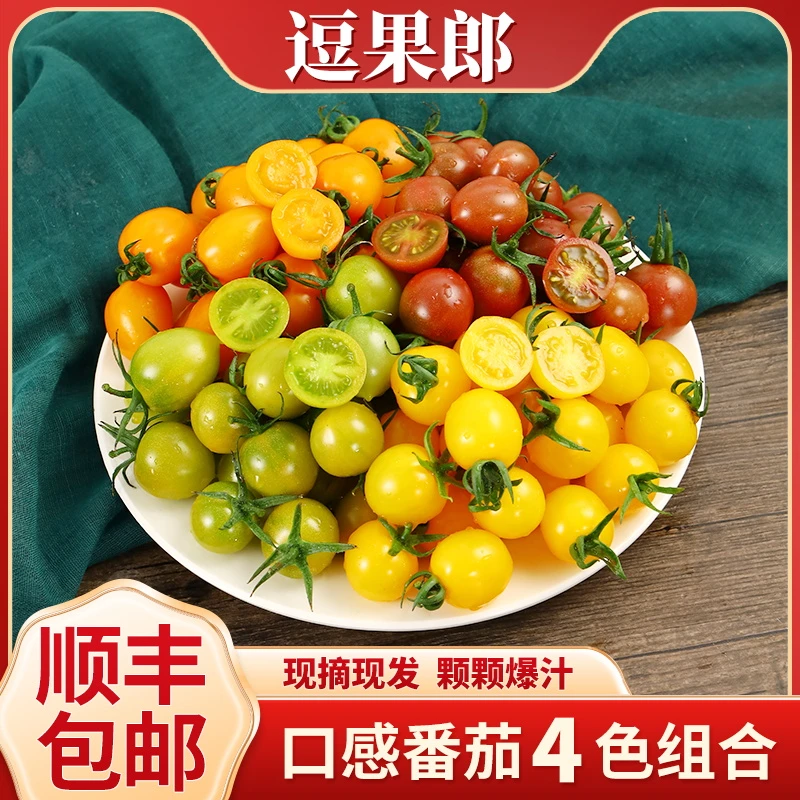 【顺丰包邮】新鲜采摘四色樱桃小番茄圣女果4斤