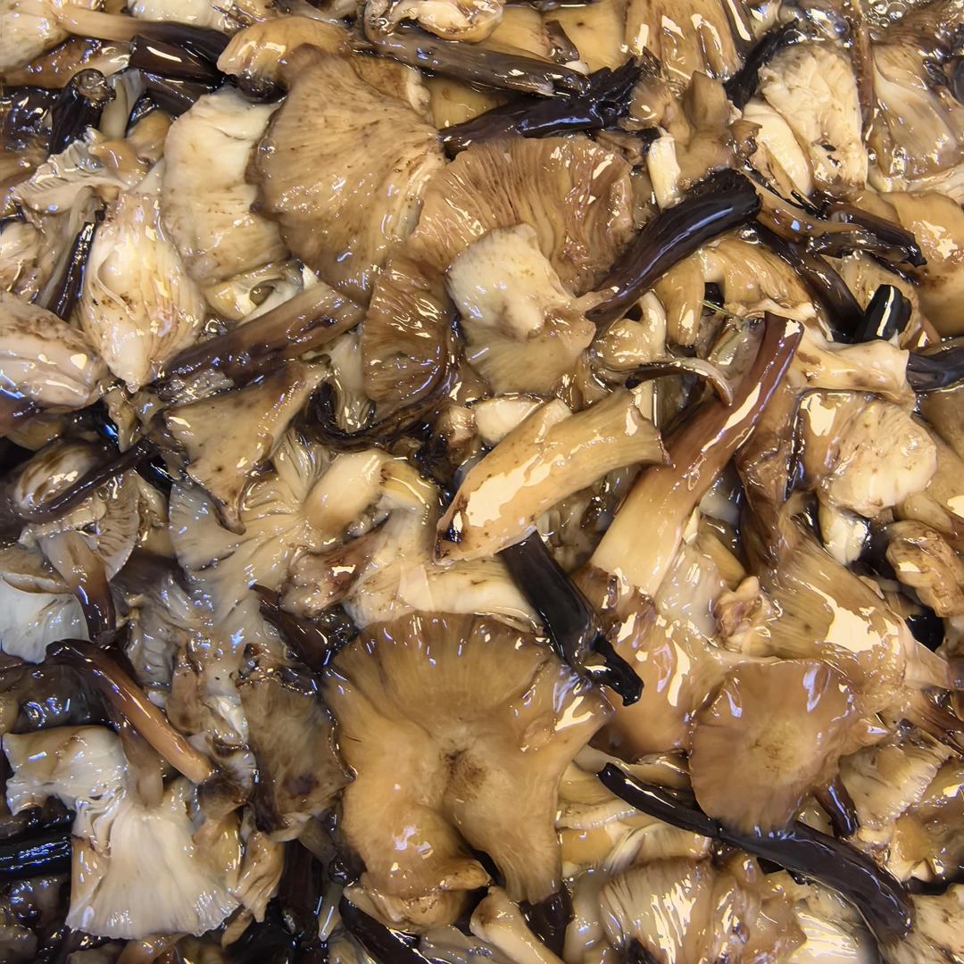 东北海伦四海店野生鲜榛蘑盐腌制