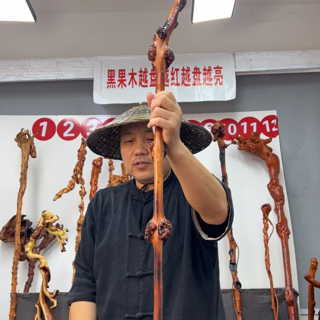 用***5黑果木其他黑果木953