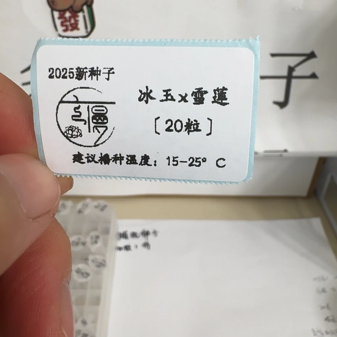 如图2025糖心珍妮杂交种子冰玉x雪莲20粒不包出芽率