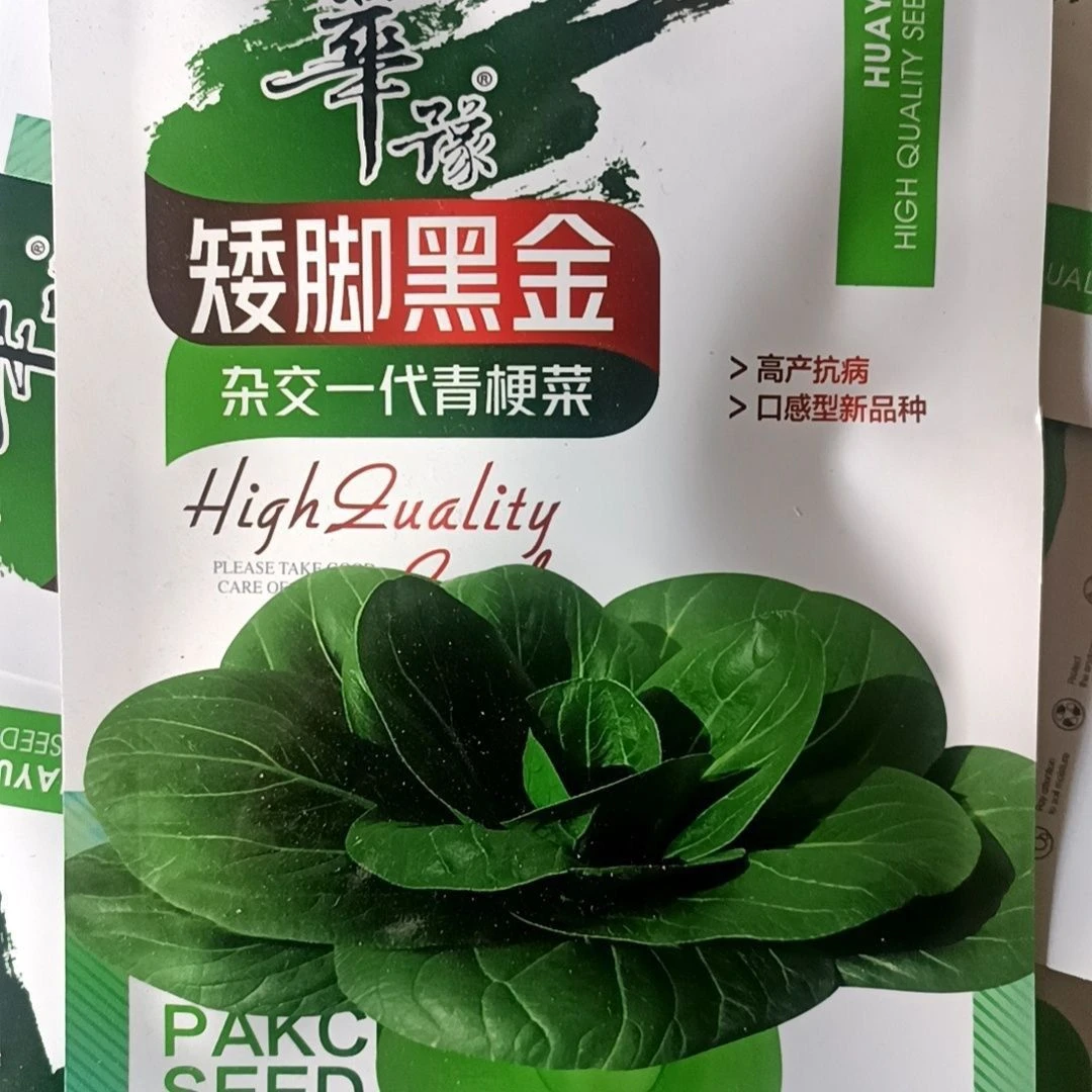 矮脚黑金青梗菜种子油亮苏州青种籽高产耐寒耐冻春秋播黑青菜种子