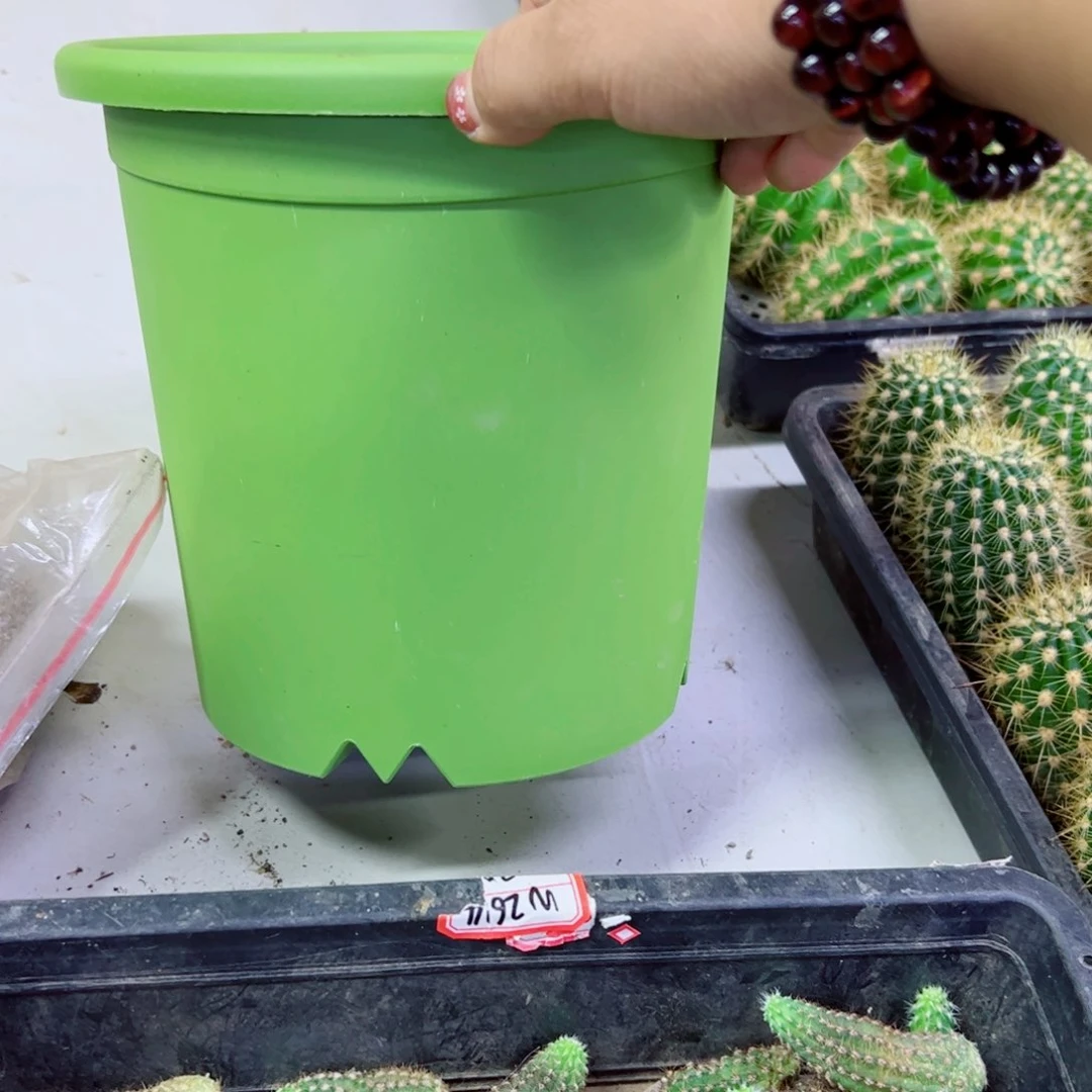 下3大绿盆2个口径20高19无托盘