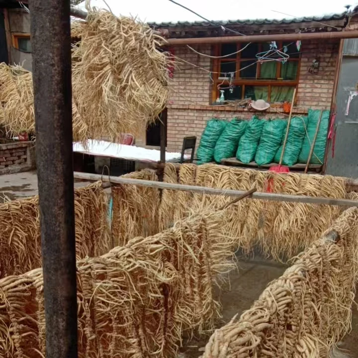 甘肃农民种植新鲜党参可煲汤泡酒现采现挖500g包邮