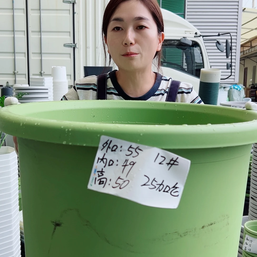 瑕疵四季盆12#果绿2个无托