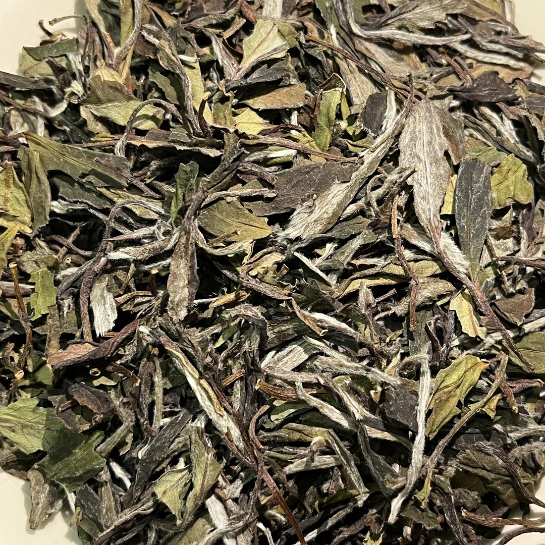 2018年大洋山荒野牡丹