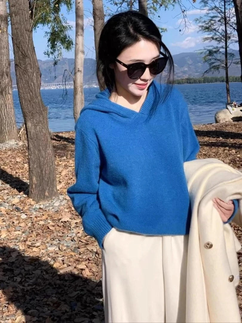 克莱因蓝毛衣女2024秋冬新款圆领套头针织衫超好看显瘦宽松上衣女