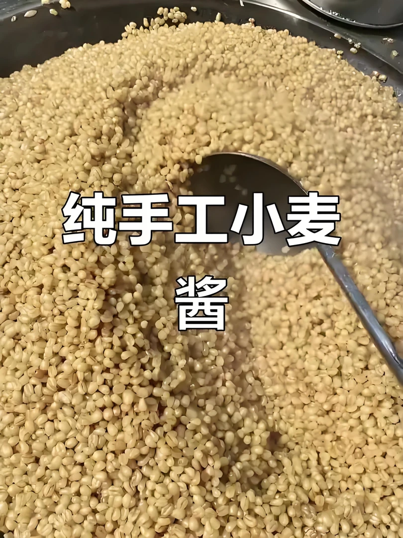 乡行者走乡村农家纯手工小麦酱炒菜炖肉汤浓味香