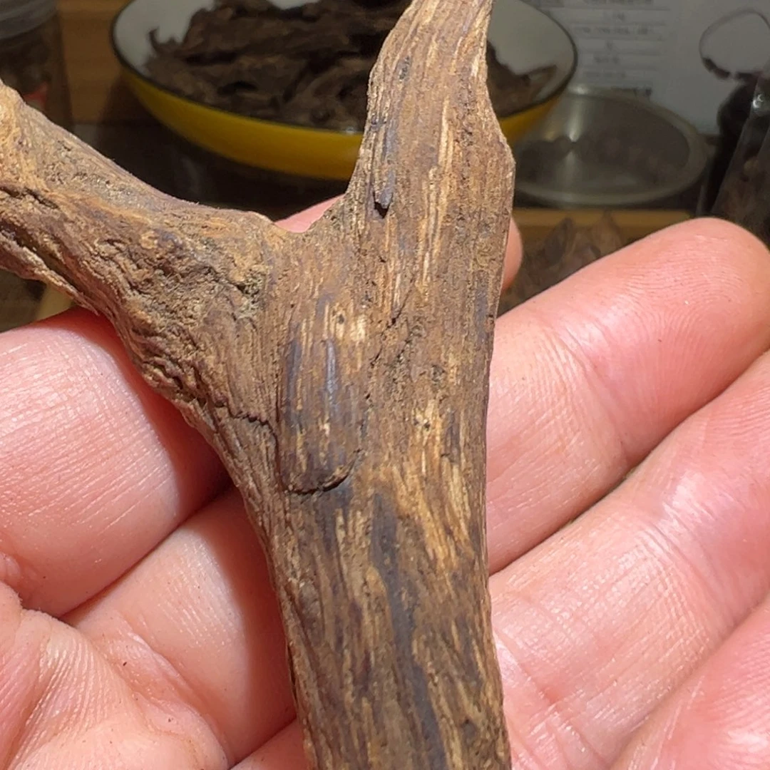 沉香沉香碎屑马尼涝5.7