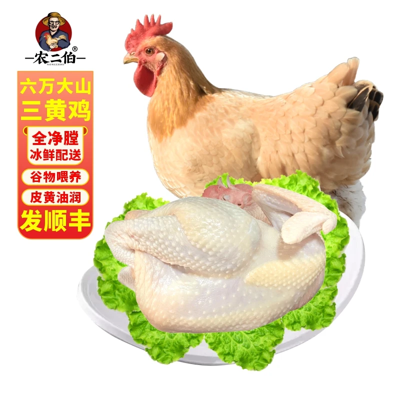 农二伯1只装广西三黄鸡正宗散养母鸡美味滋补山林土鸡-顺丰包邮