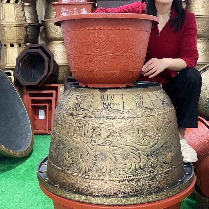 圆盆红色五零两个