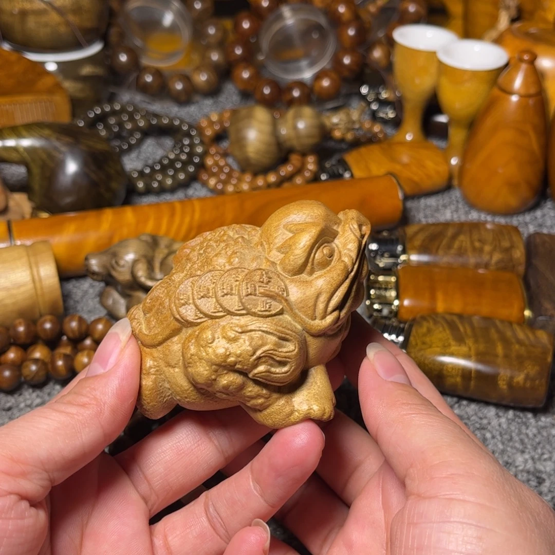 金丝楠金蟾小叶桢楠