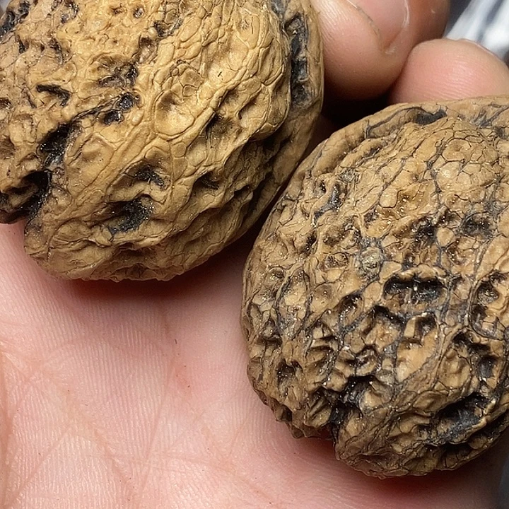 把件文玩核桃志成云铁文玩58