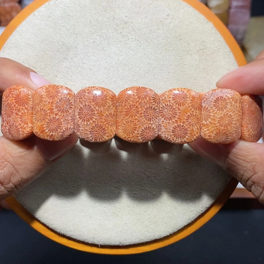 硅化珊瑚（珊瑚玉）手串未镶嵌骨骼大雏菊40