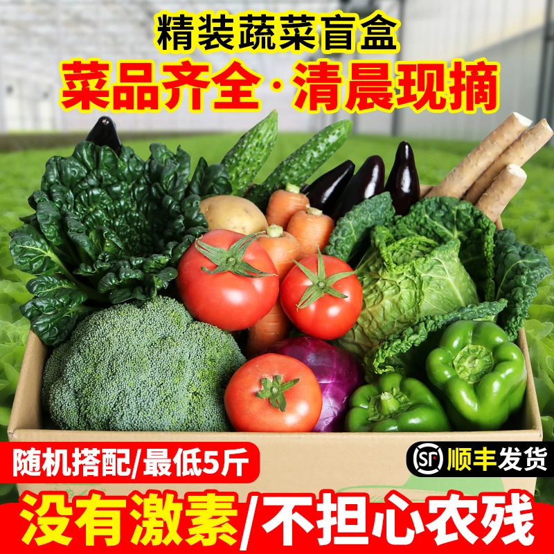 密农人家蔬菜盲箱 随机搭配5种新鲜时令蔬菜不低于5斤 生态种植