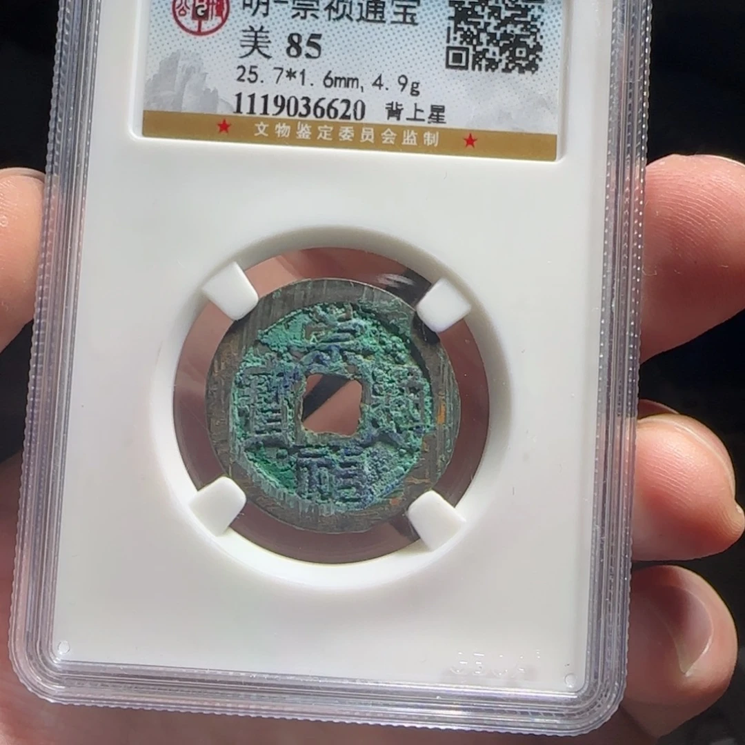 金属XX评级封装盒子币一个