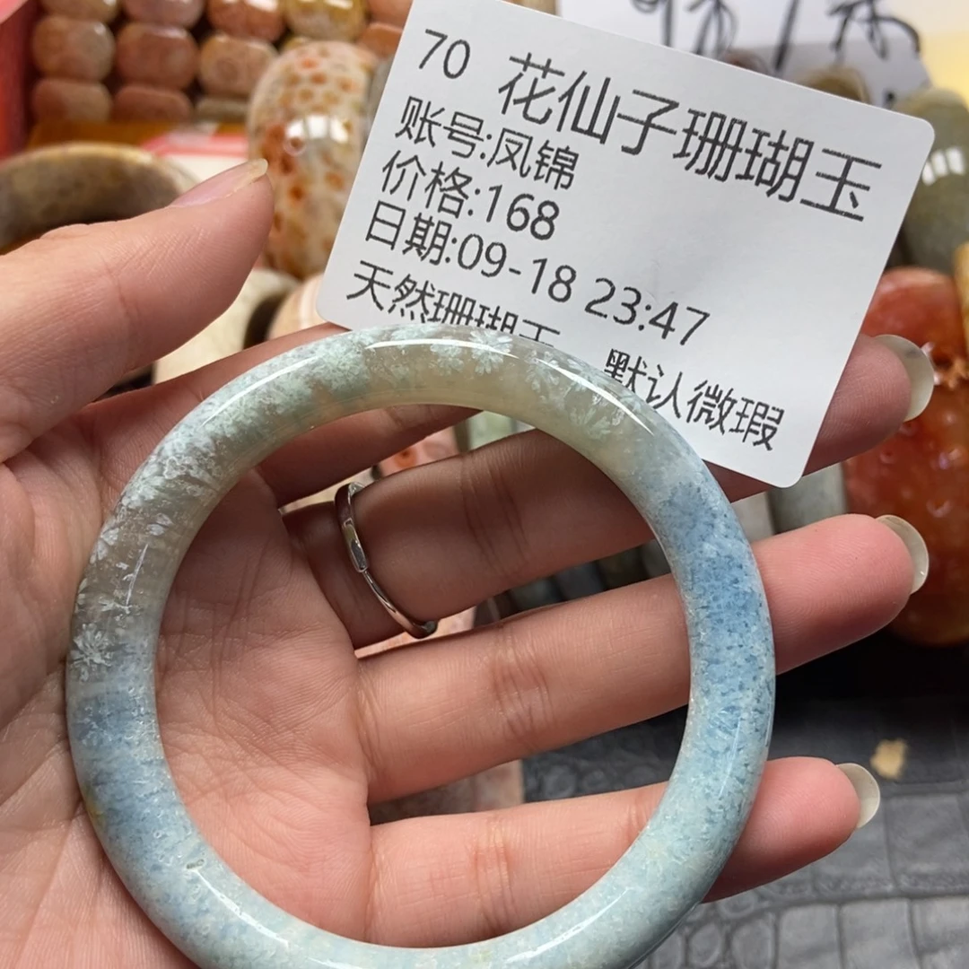凤***锦未镶嵌硅化珊瑚（珊瑚玉）珠宝半成品70
