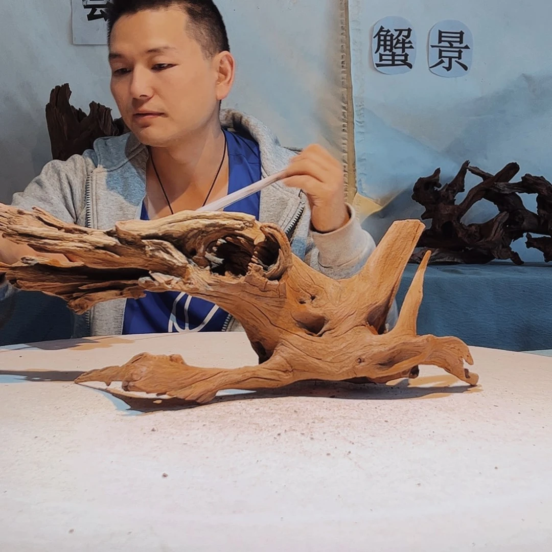 54.19.21 沉木造景爬宠造景