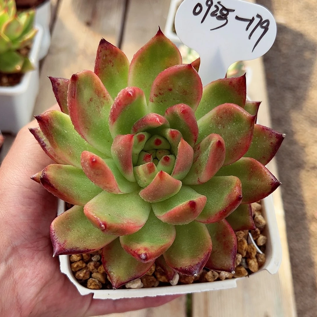 0923-179姜海滨。。。。
