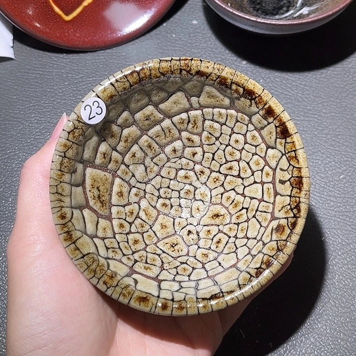 茶盏乐乐乐乐乐乐乐乐乐乐乐乐了