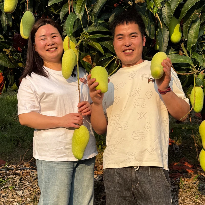 【秀桂专属】正宗海南金煌芒果新鲜水仙芒甜心芒当季水果整箱